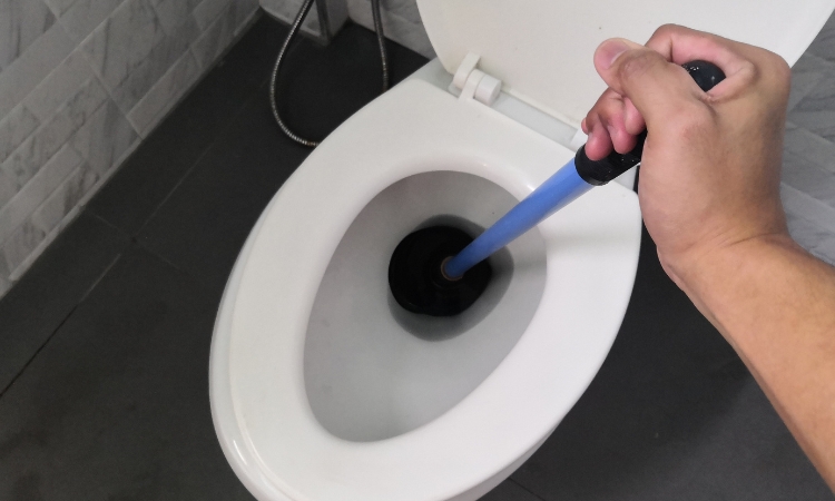 Fix common Toilet Problems