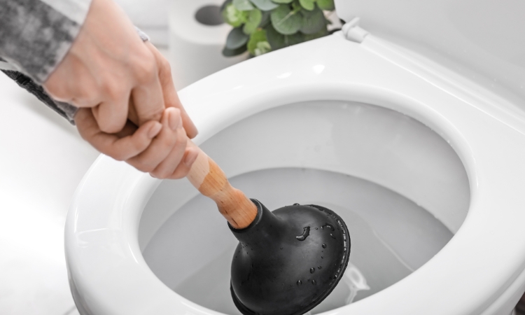 Urinal Bowl