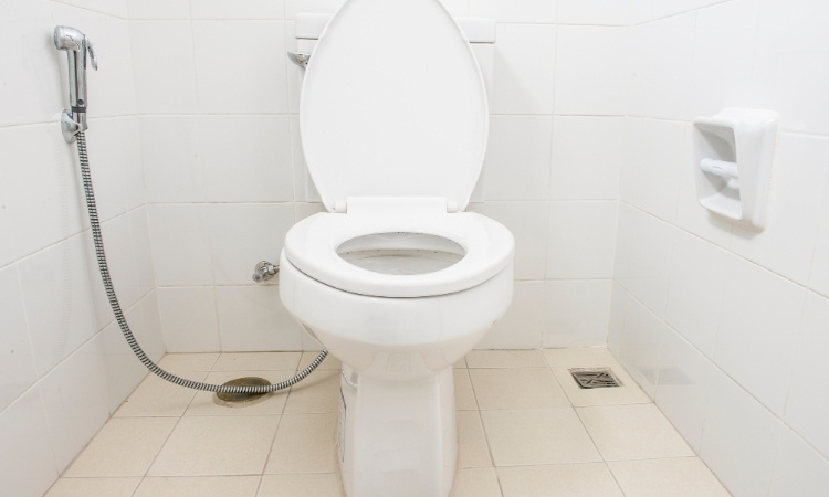 install a toilet flush