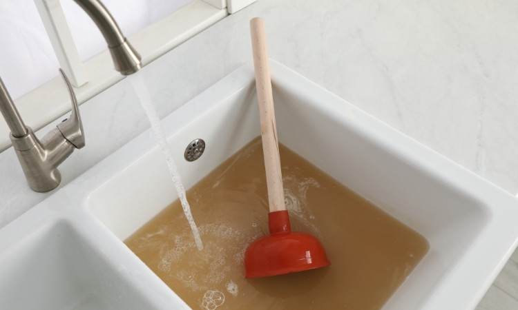 bathroom sink not draining water