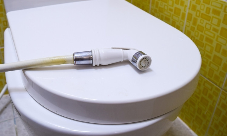 Bidet spray low water pressure