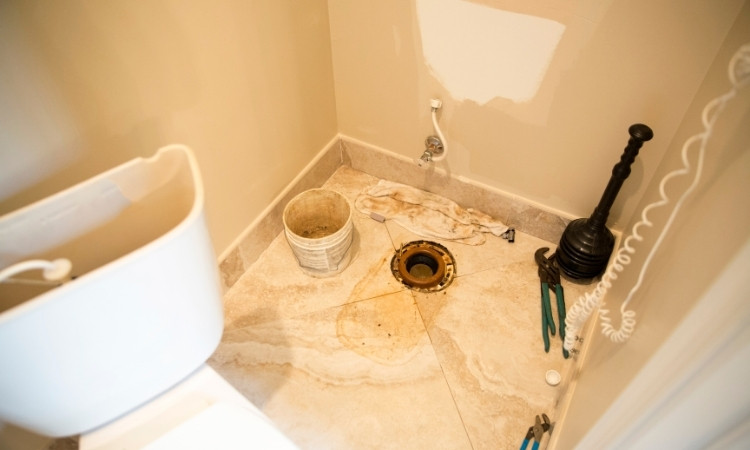 Leaking Toilet Base