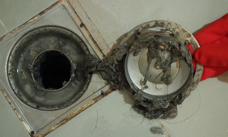 Causes of Clogged Drains in Singapore
