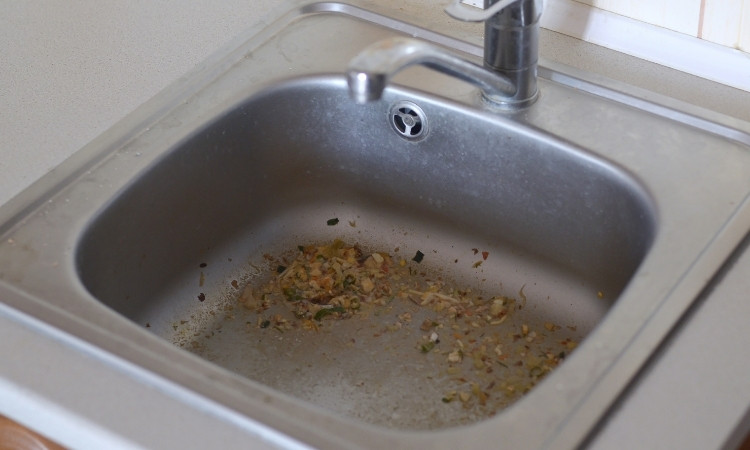 Common Causes of Clogged Drains